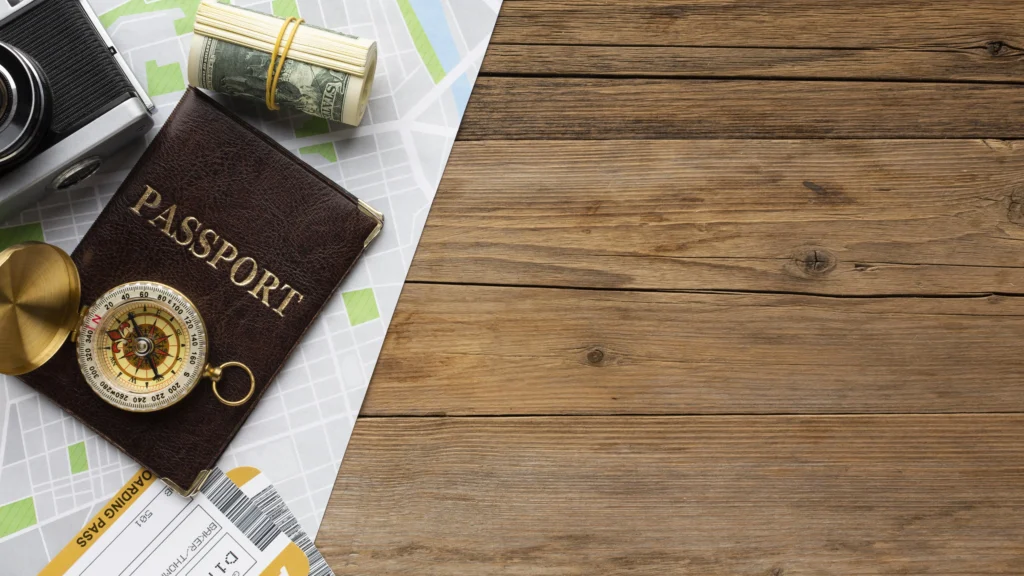 Professional Document Translation Services